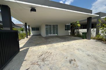 Rice Field @ 19th Miles