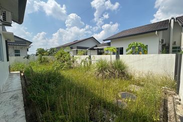 Rice Field @ 19th Miles