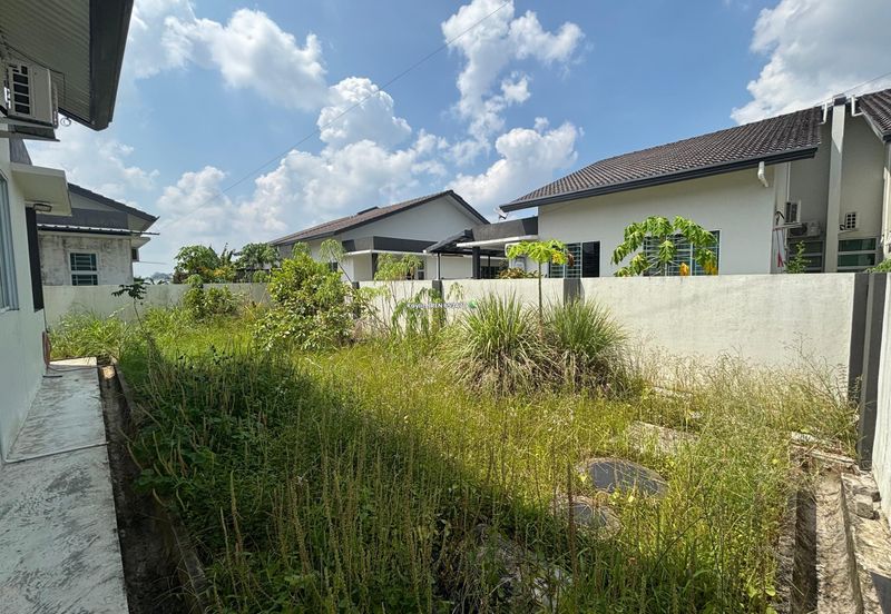 Rice Field @ 19th Miles