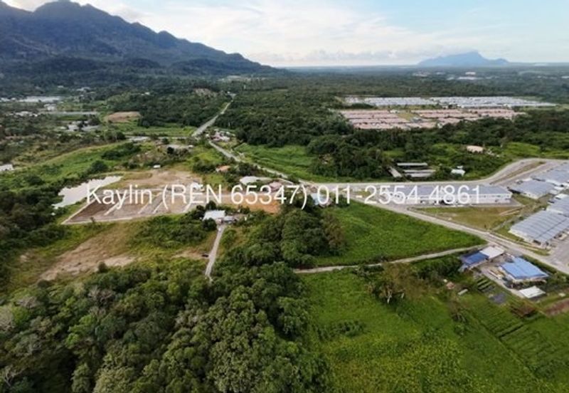 Single Storey Terrace/ Semi-Detached at Hyde Park, Matang - Sungai Tengah open for Booking