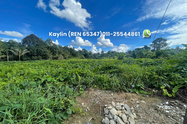 Stephen Yong Land for sale