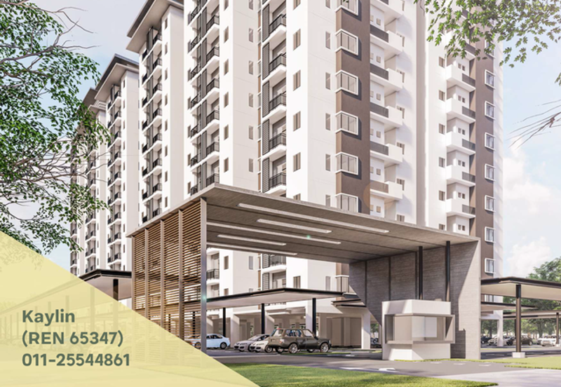 Gizo 11 Service Apartment