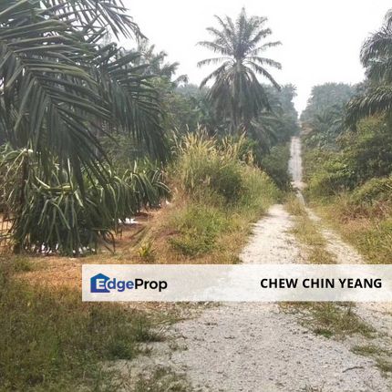 Land at Kg. Baru JIMAH (Site A) Lukut, Port Dickson, Negeri Sembilan for Sale, Negeri Sembilan, Siliau