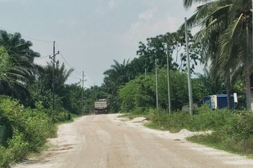 24.74 acres Agriculture Land for Sales @Kampar kampung dato banir 
