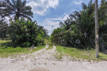 24.74 acres Agriculture Land for Sales @Kampar kampung dato banir 