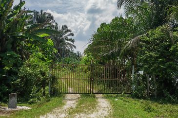 24.74 acres Agriculture Land for Sales @Kampar kampung dato banir 