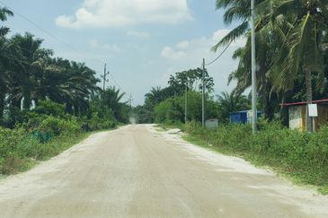 24.74 acres Agriculture Land for Sales @Kampar kampung dato banir 