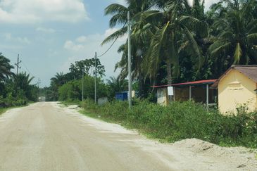 24.74 acres Agriculture Land for Sales @Kampar kampung dato banir 