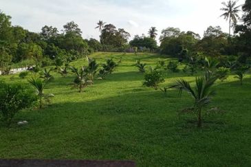 Agriculture Land At Kluang , Near Stadium Kluang