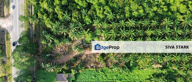 Agriculture Land At Jalan Batu Pahat @ Kluang Facing Main Road, Johor, Kluang