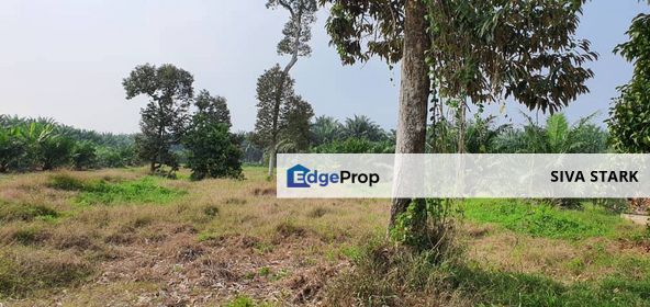 LAND FOR SALE AT MUAR JOHOR, Johor, Muar