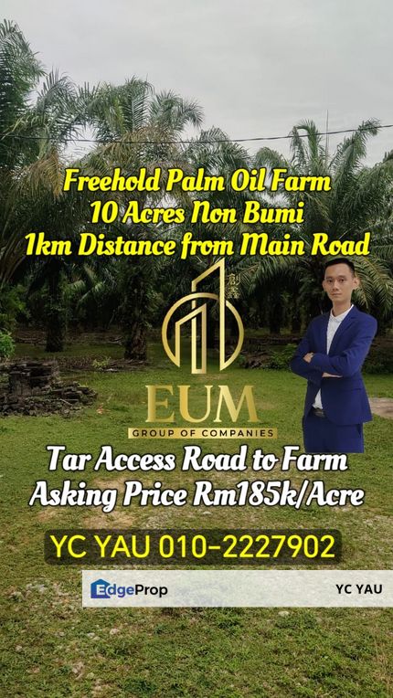 Freehold Palm Oil Farm Selandar Melaka, Melaka, Jasin