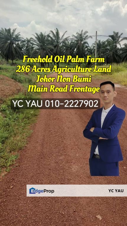 Freehold Agricultural Land Oil Palm Farm Johor, Johor, Segamat