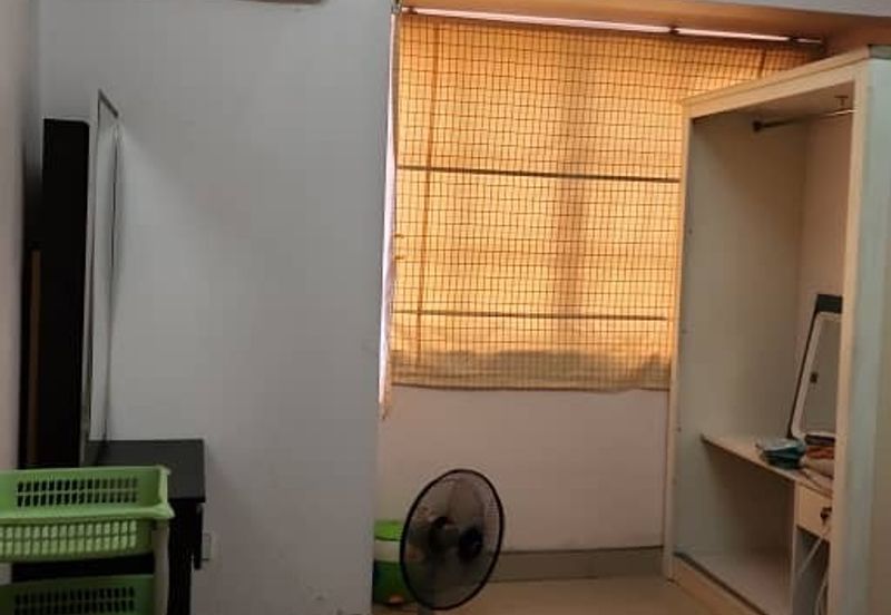 Evergreen Park Acorn and Hazel