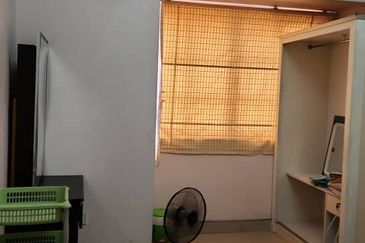 Evergreen Park Acorn and Hazel