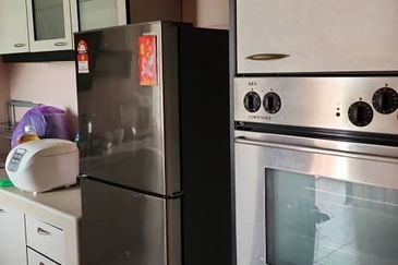 Evergreen Park Acorn and Hazel