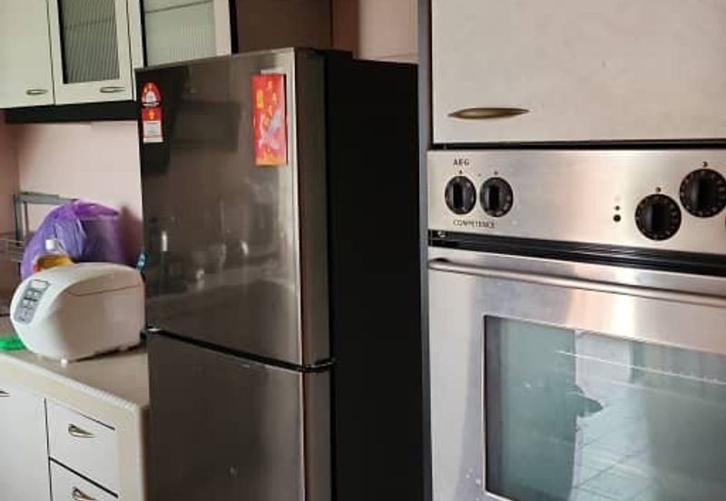 Evergreen Park Acorn and Hazel