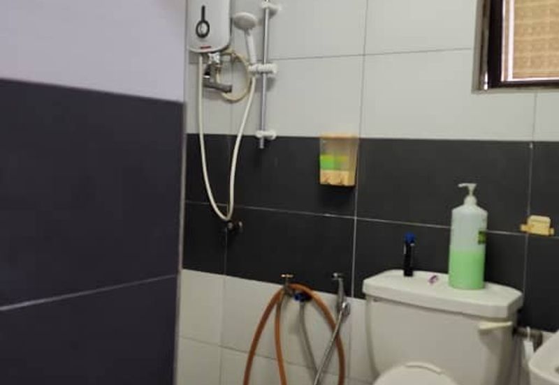 Evergreen Park Acorn and Hazel