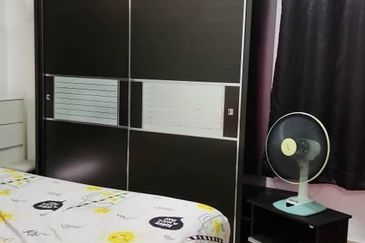 Evergreen Park Acorn and Hazel