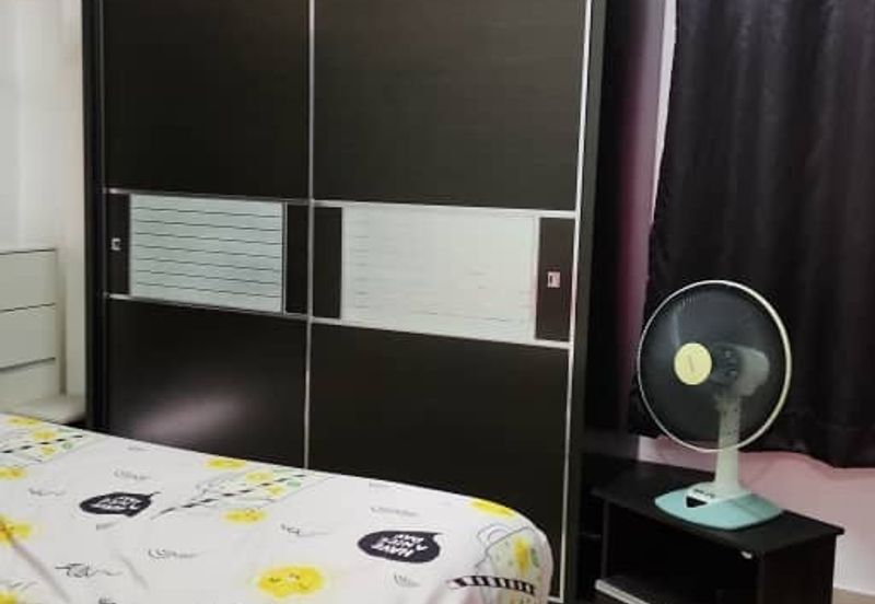 Evergreen Park Acorn and Hazel