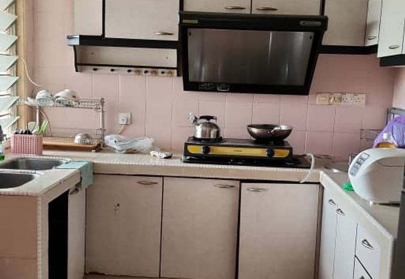 Evergreen Park Acorn and Hazel