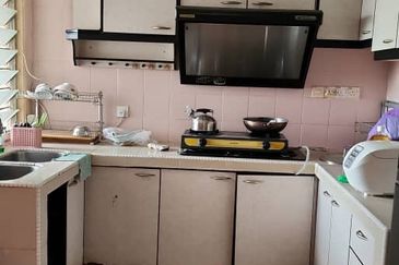 Evergreen Park Acorn and Hazel