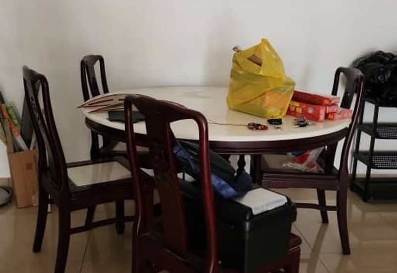 Evergreen Park Acorn and Hazel