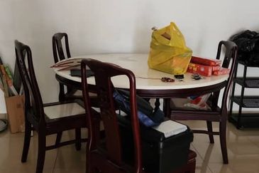 Evergreen Park Acorn and Hazel