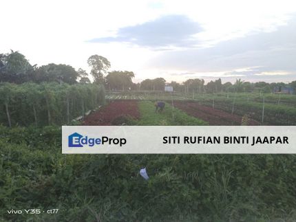 DEVELOPMENT LAND FOR SALE KAWASAN REVOLUSI HIJAU , Selangor, Klang