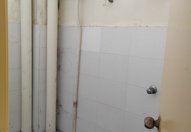 [TERMURAH] SHOPLOT 3 TINGKAT DI TAMAN BESTARI, GONG BADAK DEPAN ILP