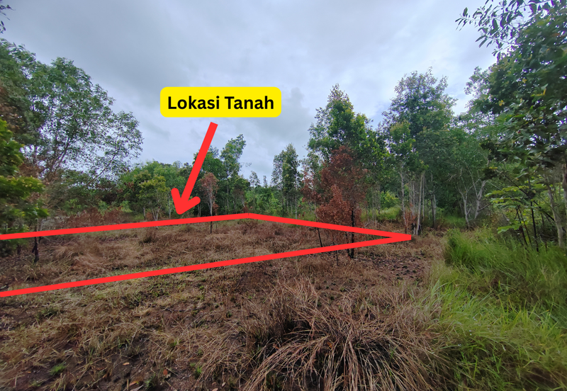 𝐓𝐚𝐧𝐚𝐡 𝐋𝐨𝐭 𝐁𝐚𝐧𝐠𝐥𝐨 𝐬𝐚𝐢𝐳 𝟓𝟏𝟒𝐦² 𝐝𝐢 𝐊𝐠. 𝐀𝐥𝐮𝐫 𝐓𝐮𝐦𝐚𝐧, 𝐌𝐚𝐫𝐚𝐧𝐠, 𝐓𝐞𝐫𝐞𝐧𝐠𝐠𝐚𝐧𝐮