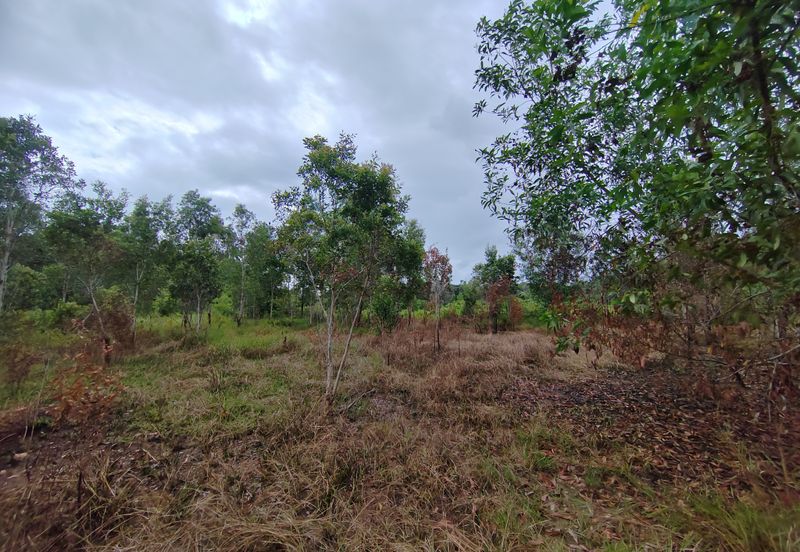 𝐓𝐚𝐧𝐚𝐡 𝐋𝐨𝐭 𝐁𝐚𝐧𝐠𝐥𝐨 𝐬𝐚𝐢𝐳 𝟓𝟏𝟒𝐦² 𝐝𝐢 𝐊𝐠. 𝐀𝐥𝐮𝐫 𝐓𝐮𝐦𝐚𝐧, 𝐌𝐚𝐫𝐚𝐧𝐠, 𝐓𝐞𝐫𝐞𝐧𝐠𝐠𝐚𝐧𝐮