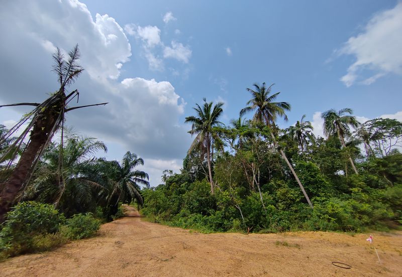 𝟔 𝐓𝐚𝐧𝐚𝐡 𝐋𝐨𝐭 𝐁𝐚𝐧𝐠𝐥𝐨 𝐬𝐚𝐢𝐳 𝟔𝟔𝟐𝐦² 𝐝𝐢 𝐏𝐞𝐧𝐠𝐤𝐚𝐥𝐚𝐧 𝐁𝐞𝐫𝐚𝐧𝐠𝐚𝐧, 𝐌𝐚𝐫𝐚𝐧𝐠, 𝐓𝐞𝐫𝐞𝐧𝐠𝐠𝐚𝐧𝐮