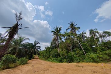 𝟔 𝐓𝐚𝐧𝐚𝐡 𝐋𝐨𝐭 𝐁𝐚𝐧𝐠𝐥𝐨 𝐬𝐚𝐢𝐳 𝟔𝟔𝟐𝐦² 𝐝𝐢 𝐏𝐞𝐧𝐠𝐤𝐚𝐥𝐚𝐧 𝐁𝐞𝐫𝐚𝐧𝐠𝐚𝐧, 𝐌𝐚𝐫𝐚𝐧𝐠, 𝐓𝐞𝐫𝐞𝐧𝐠𝐠𝐚𝐧𝐮