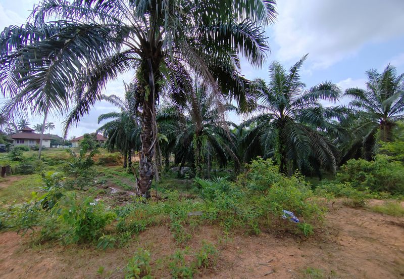 𝟔 𝐓𝐚𝐧𝐚𝐡 𝐋𝐨𝐭 𝐁𝐚𝐧𝐠𝐥𝐨 𝐬𝐚𝐢𝐳 𝟔𝟔𝟐𝐦² 𝐝𝐢 𝐏𝐞𝐧𝐠𝐤𝐚𝐥𝐚𝐧 𝐁𝐞𝐫𝐚𝐧𝐠𝐚𝐧, 𝐌𝐚𝐫𝐚𝐧𝐠, 𝐓𝐞𝐫𝐞𝐧𝐠𝐠𝐚𝐧𝐮