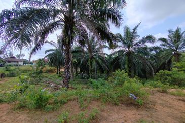 𝟔 𝐓𝐚𝐧𝐚𝐡 𝐋𝐨𝐭 𝐁𝐚𝐧𝐠𝐥𝐨 𝐬𝐚𝐢𝐳 𝟔𝟔𝟐𝐦² 𝐝𝐢 𝐏𝐞𝐧𝐠𝐤𝐚𝐥𝐚𝐧 𝐁𝐞𝐫𝐚𝐧𝐠𝐚𝐧, 𝐌𝐚𝐫𝐚𝐧𝐠, 𝐓𝐞𝐫𝐞𝐧𝐠𝐠𝐚𝐧𝐮