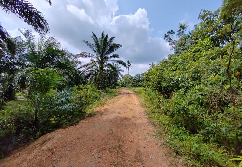 𝟔 𝐓𝐚𝐧𝐚𝐡 𝐋𝐨𝐭 𝐁𝐚𝐧𝐠𝐥𝐨 𝐬𝐚𝐢𝐳 𝟔𝟔𝟐𝐦² 𝐝𝐢 𝐏𝐞𝐧𝐠𝐤𝐚𝐥𝐚𝐧 𝐁𝐞𝐫𝐚𝐧𝐠𝐚𝐧, 𝐌𝐚𝐫𝐚𝐧𝐠, 𝐓𝐞𝐫𝐞𝐧𝐠𝐠𝐚𝐧𝐮