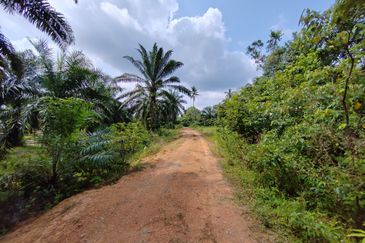 𝟔 𝐓𝐚𝐧𝐚𝐡 𝐋𝐨𝐭 𝐁𝐚𝐧𝐠𝐥𝐨 𝐬𝐚𝐢𝐳 𝟔𝟔𝟐𝐦² 𝐝𝐢 𝐏𝐞𝐧𝐠𝐤𝐚𝐥𝐚𝐧 𝐁𝐞𝐫𝐚𝐧𝐠𝐚𝐧, 𝐌𝐚𝐫𝐚𝐧𝐠, 𝐓𝐞𝐫𝐞𝐧𝐠𝐠𝐚𝐧𝐮