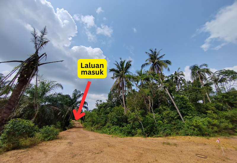 𝟔 𝐓𝐚𝐧𝐚𝐡 𝐋𝐨𝐭 𝐁𝐚𝐧𝐠𝐥𝐨 𝐬𝐚𝐢𝐳 𝟔𝟔𝟐𝐦² 𝐝𝐢 𝐏𝐞𝐧𝐠𝐤𝐚𝐥𝐚𝐧 𝐁𝐞𝐫𝐚𝐧𝐠𝐚𝐧, 𝐌𝐚𝐫𝐚𝐧𝐠, 𝐓𝐞𝐫𝐞𝐧𝐠𝐠𝐚𝐧𝐮