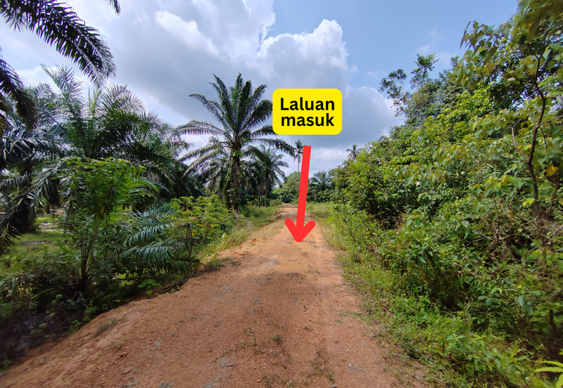 𝟔 𝐓𝐚𝐧𝐚𝐡 𝐋𝐨𝐭 𝐁𝐚𝐧𝐠𝐥𝐨 𝐬𝐚𝐢𝐳 𝟔𝟔𝟐𝐦² 𝐝𝐢 𝐏𝐞𝐧𝐠𝐤𝐚𝐥𝐚𝐧 𝐁𝐞𝐫𝐚𝐧𝐠𝐚𝐧, 𝐌𝐚𝐫𝐚𝐧𝐠, 𝐓𝐞𝐫𝐞𝐧𝐠𝐠𝐚𝐧𝐮