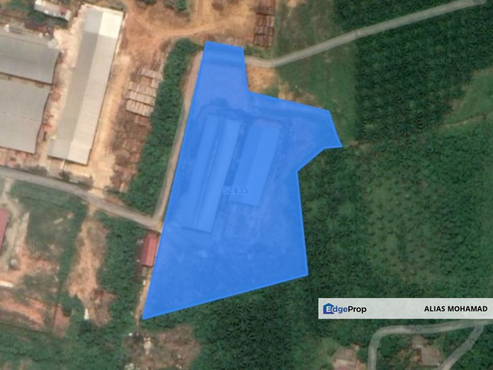 Tanah Industri 5 ekar + Perniagaan Kilang Papan di Kawasan Perindustrian Wakaf Tapai, Terengganu, Terengganu, Marang