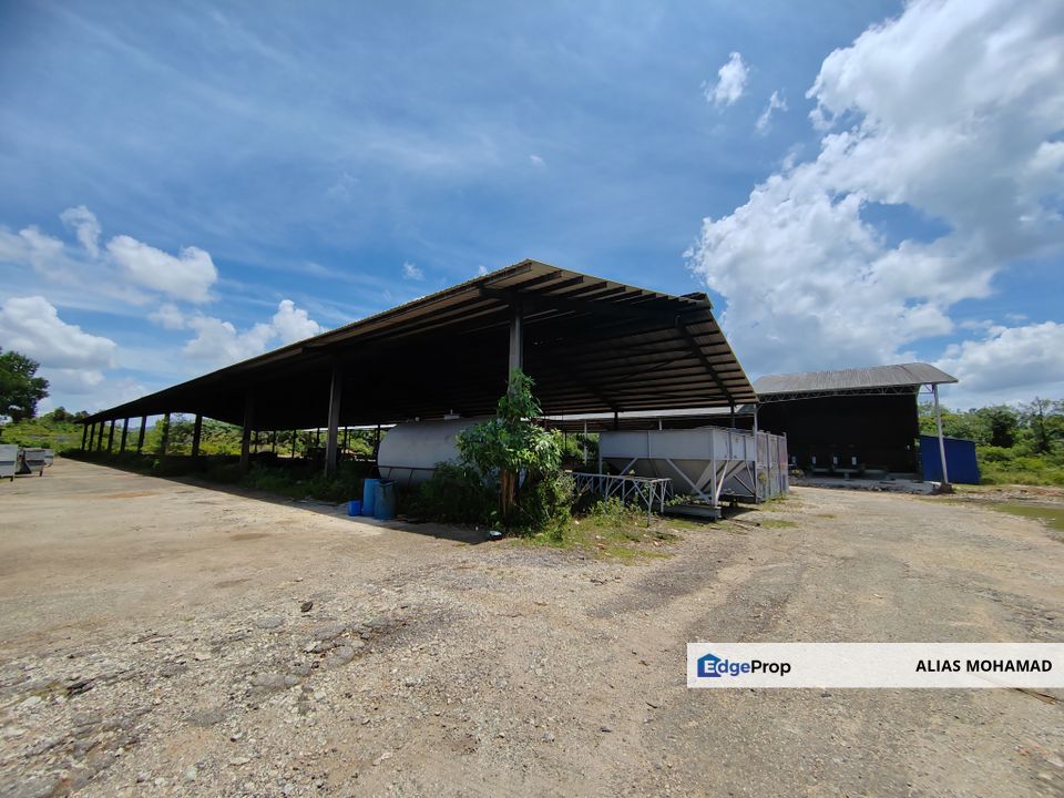Tanah Industri 5 ekar + Perniagaan Kilang Papan di Kawasan Perindustrian Wakaf Tapai, Terengganu, Terengganu, Marang