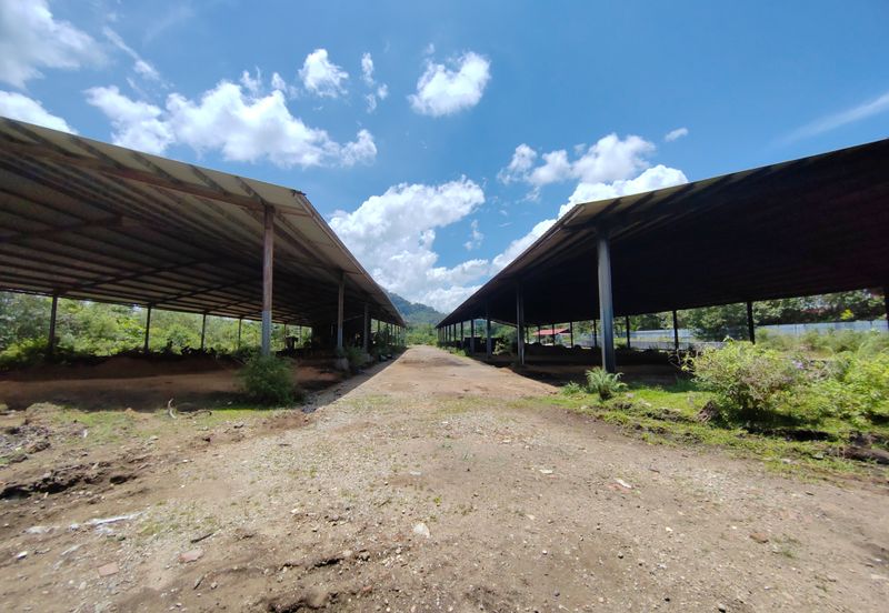 Tanah Industri 5 ekar + Perniagaan Kilang Papan di Kawasan Perindustrian Wakaf Tapai, Terengganu