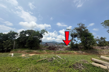 Tanah Status Bangunan Saiz 1.425 ekar di Kg. Nyior, Paka, Terengganu sebelah Masjid Kg. Nyior