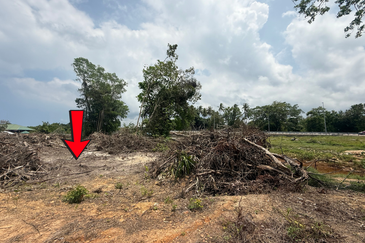 Tanah Status Bangunan Saiz 1.425 ekar di Kg. Nyior, Paka, Terengganu sebelah Masjid Kg. Nyior