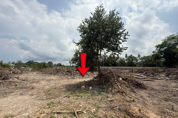 Tanah Status Bangunan Saiz 1.425 ekar di Kg. Nyior, Paka, Terengganu sebelah Masjid Kg. Nyior