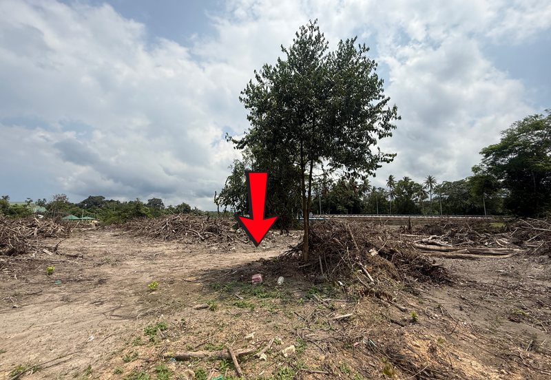 Tanah Status Bangunan Saiz 1.425 ekar di Kg. Nyior, Paka, Terengganu sebelah Masjid Kg. Nyior