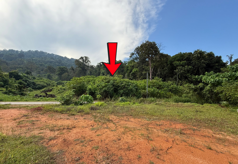 Tanah Status Bangunan Saiz 1.02 ekar di Ajil, Terengganu berdekatan MR. DIY & Eco Shop Ajil