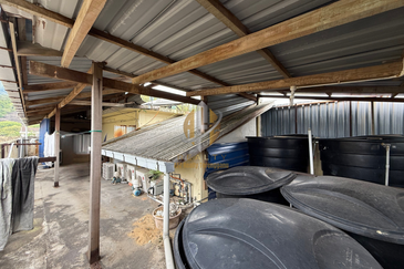 Shoplot 3 Tingkat + Business Hotel di Kuala Dungun, Terengganu di hadapan Politeknik Dungun 