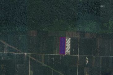 [BELOW MARKET]Tanah sawit 7.81 ekar di Kg. Raja Musa, Kuala Selangor sebelah Ladang Ternakan Ayam